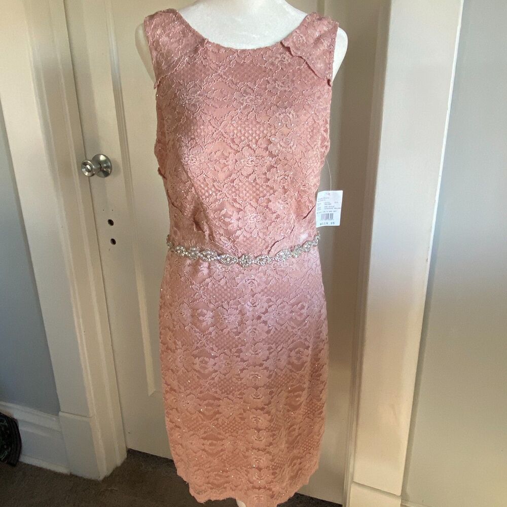 David's Bridal City Triangles Blush Sleeveless Lace Beaded Waist Dress, sz 10
